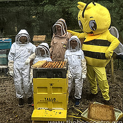Beekeeping experience